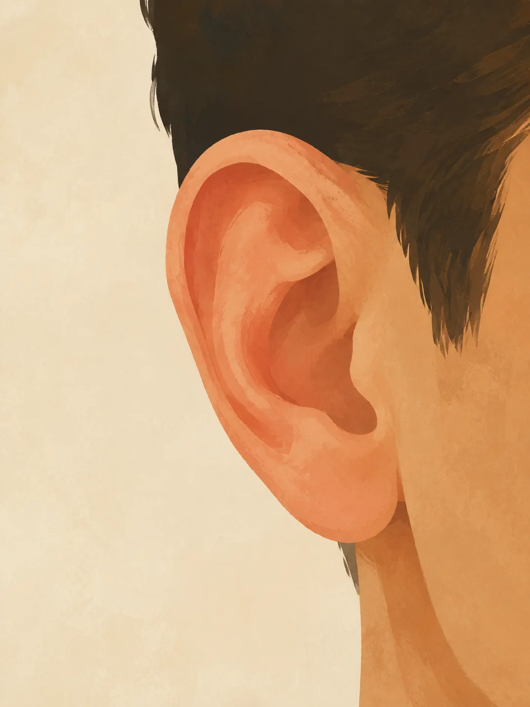 Close-up illustration of a mildly red ear.